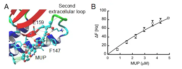 figure_01.webp