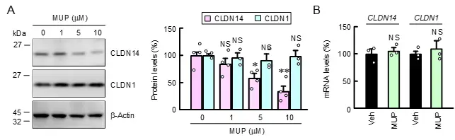 figure_02.webp