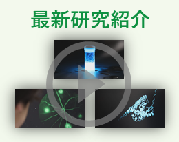 最新研究紹介