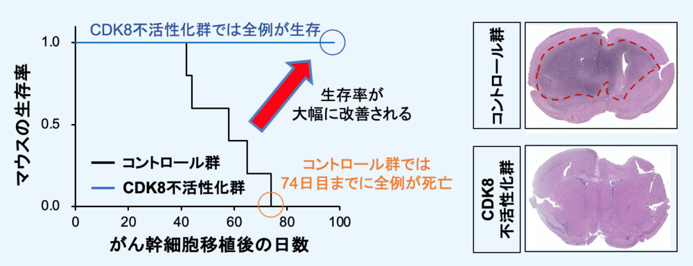 図3.png