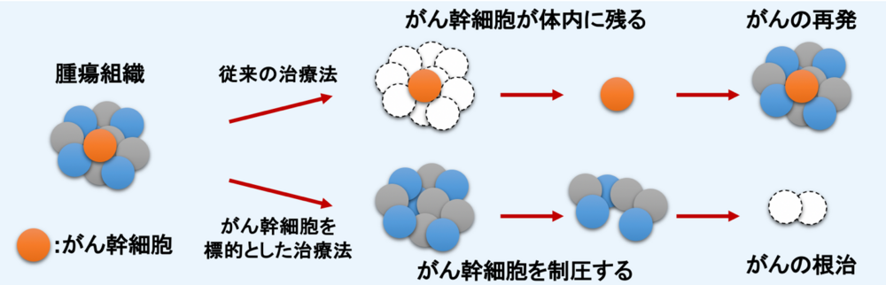 図1.png