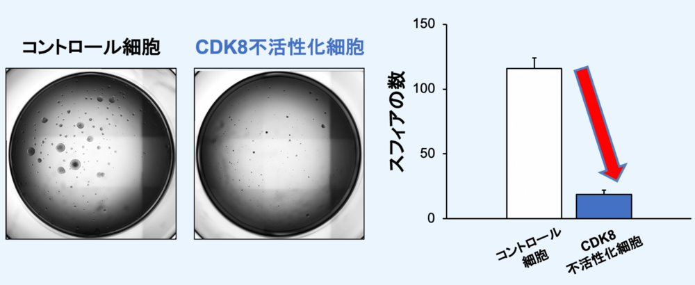図2.png