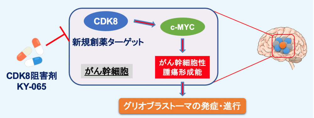図4.png