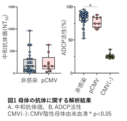 20260520_01.png