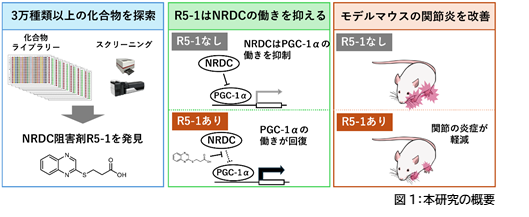 図1.png