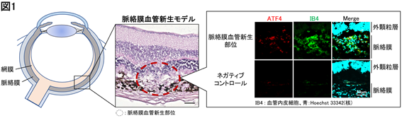 画像1.png