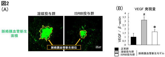 画像2.png