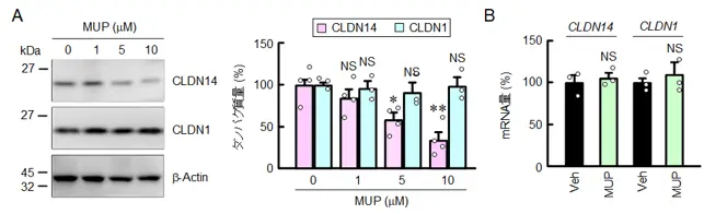 figure_02.webp