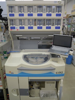 powder3.JPGのサムネイル画像