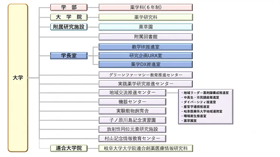 organization_v2.webp