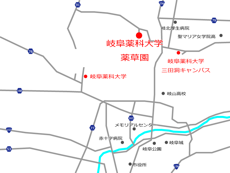 アクセスマップ
