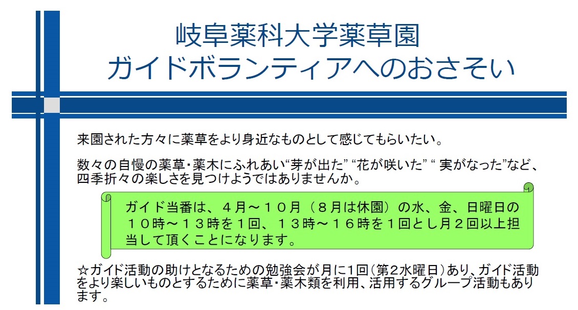 ボランティア募集